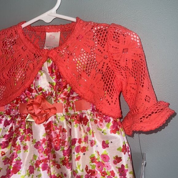 Baby Girl’s New with tags spring summer dress and sweater set size 9 months - Picture 5 of 15